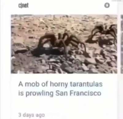 Oh no