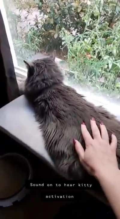 We've been activating tiny cat for a while now and just found out this subreddit exists!!