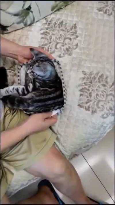 Упаковался