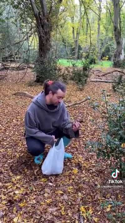 How to disrespect nature, UK edition!