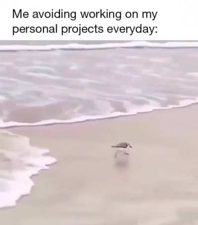 Fd