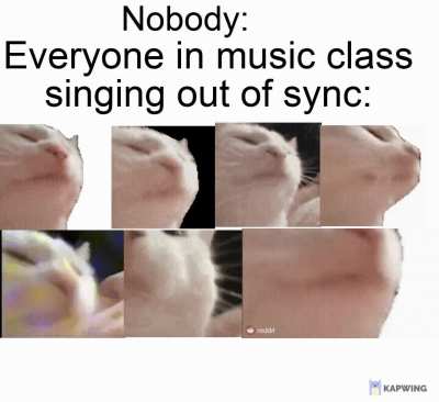 Music class be like
