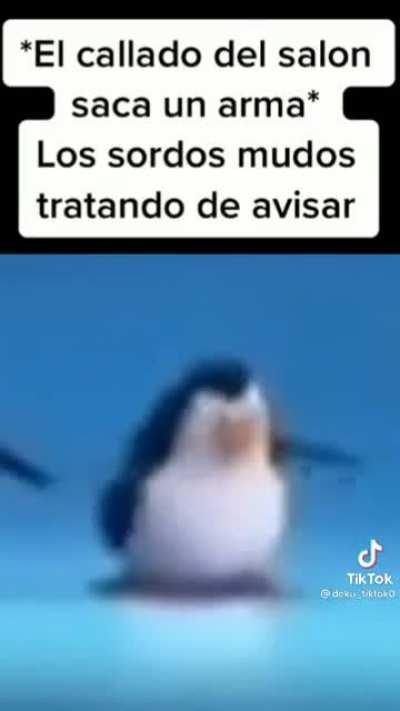 XD