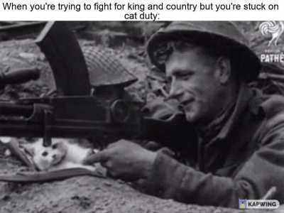 'Private Tibbles, leave Jenkins alone and get back on that machine gun!'