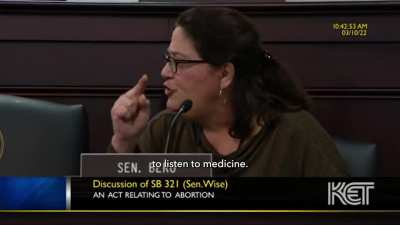 Dr. Karen Berg explains fetal development to KY Senators