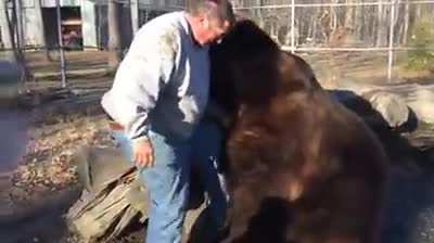 Man scratching a bear's back..