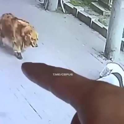 orbital CAT strike