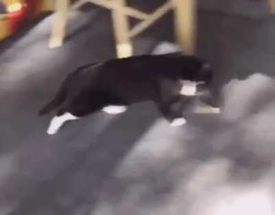 Okay, I think I lost him- OH SHIT!
