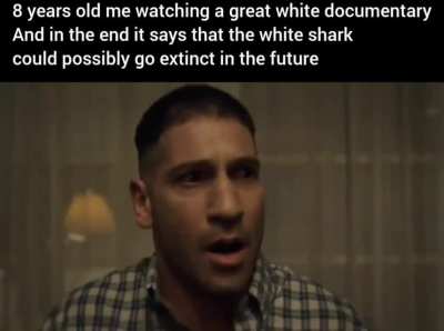 Same for all the 400+ species of sharks in the world