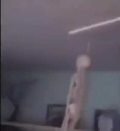 skelebones