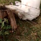 A heartwarming rescue