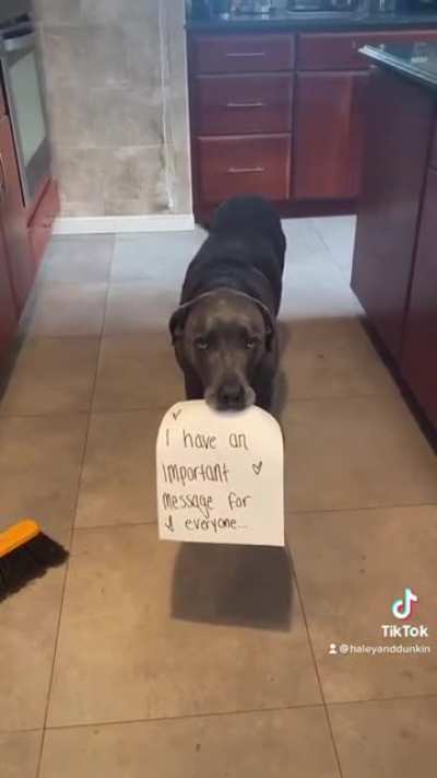 Dog delivers an important message