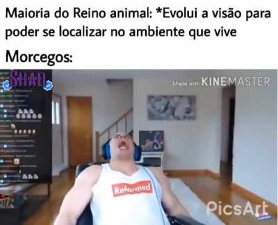 O reino animal é tão lindo...
