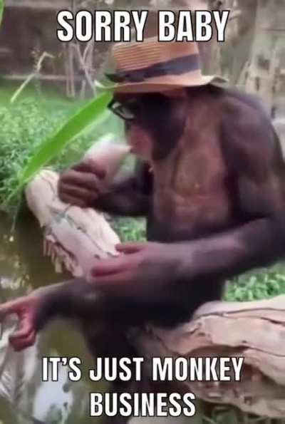 wordington monkey