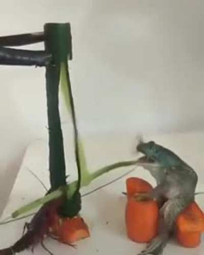 Best sub for this