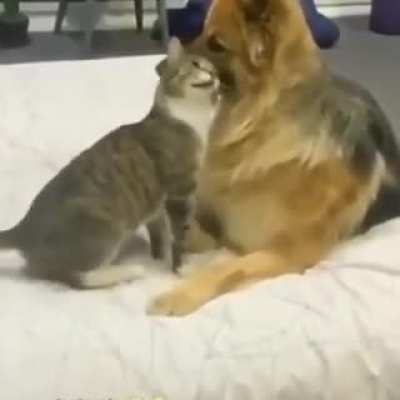 2 cuties cuddling