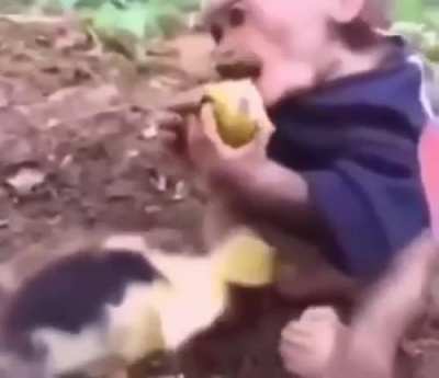 hmm