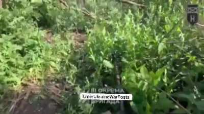UA clash Russian army in the Kharkiv direction