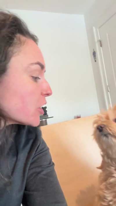 I decided to teach Izzy how to give a quick human kiss, as opposed to the barrage of face licking she usually uses!