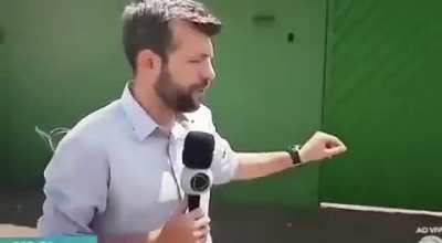 Queima o que?