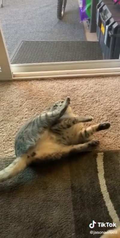 Does not compute