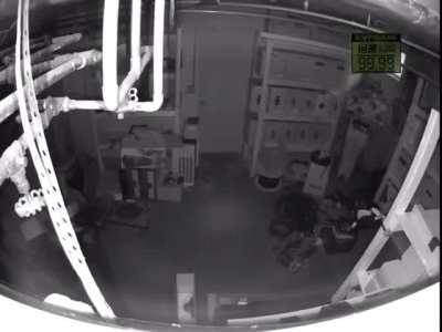 Solid snake in real life