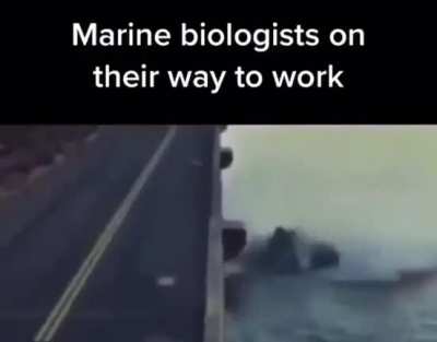 booalohjts