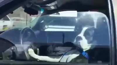 The only type of roadrage allowed