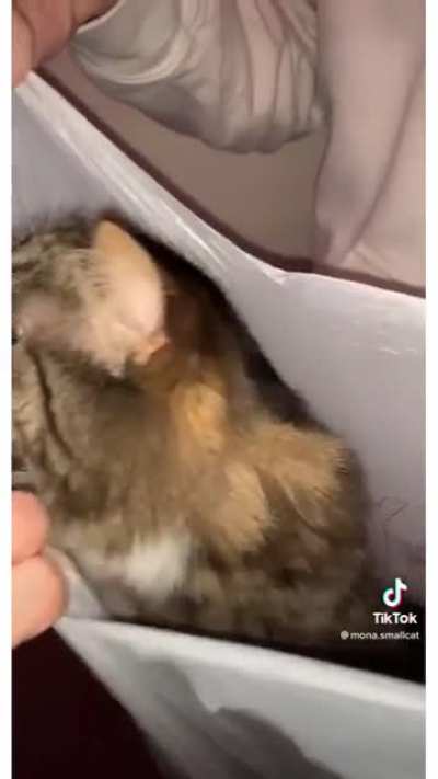 Doordash order