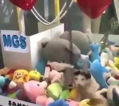 Picking stuffed animals..