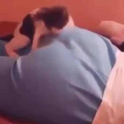 Ferocious predator takes down its prey