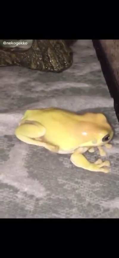 łëmœn