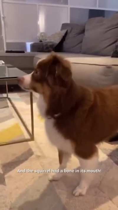 The woman uses all her dog’s favorite words to tell her a story