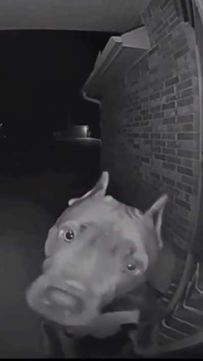 Woof