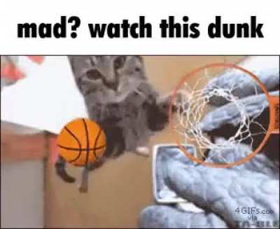 LeWunk Wunks