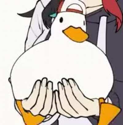 duck