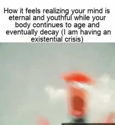 The shattering realization of the true scope of the eternal nature of time and space, and the fractal nature of your consciousness as a part of it