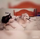 But baby...
