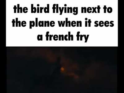Worth it for the fry