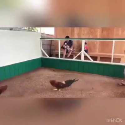 cork fighting
