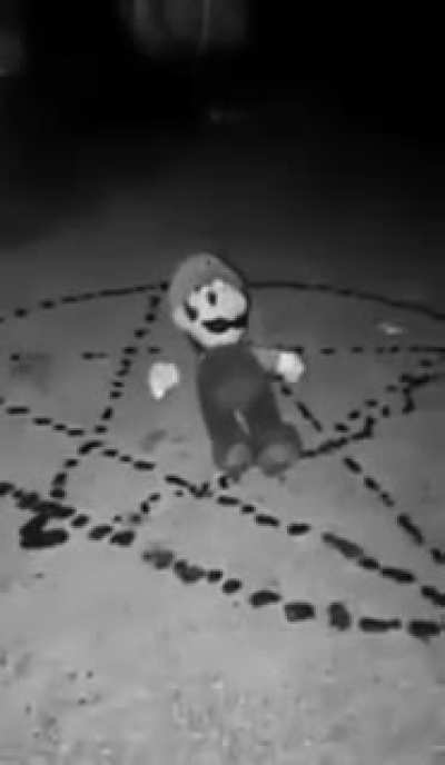 luigi_irl