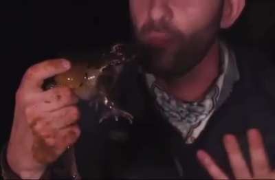 Frog