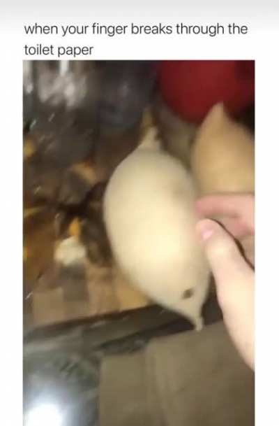 Me_irl