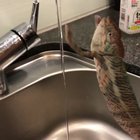 Wash your hands before dinner.