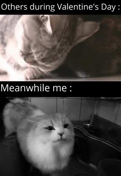 Every year, as always.