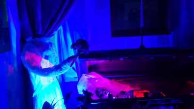 Every year I turn our house into the Haunted Mansion. Here's our 2022 display