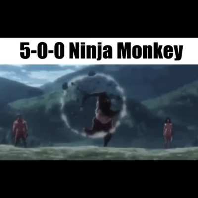 Monkey Brains