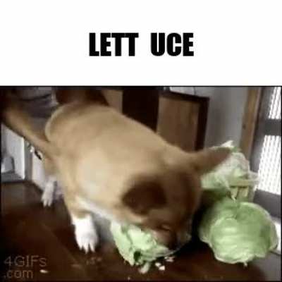 LETT UCE