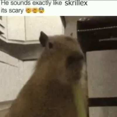 no fucking way