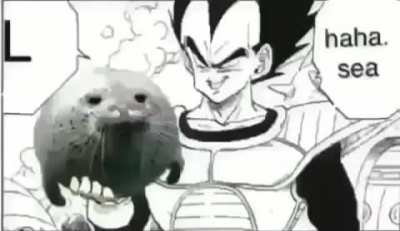 kevin x seal fanfic